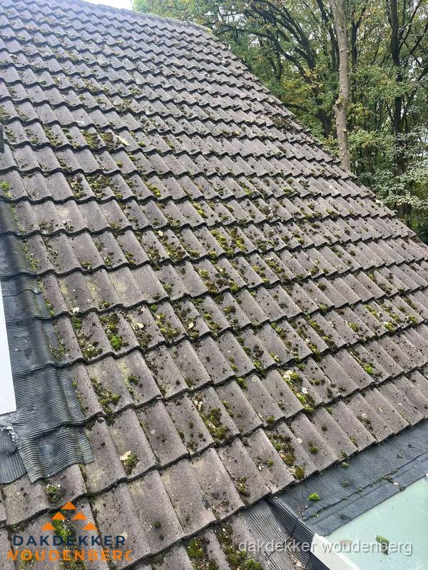Verweerd pannendak met mosgroei dat renovatie nodig heeft in Woudenberg Verweerd pannendak met mosgroei dat renovatie nodig heeft in Woudenberg