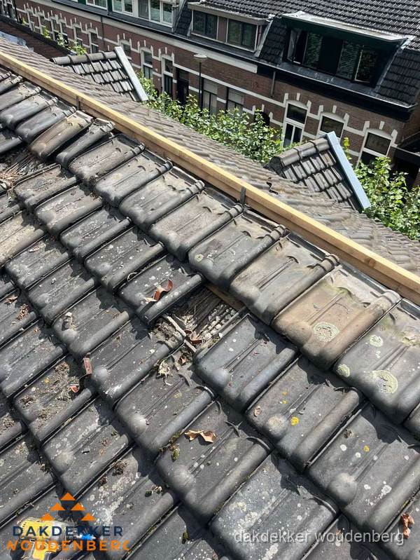 Dakonderhoud aan schuin pannendak met nokvernieuwing in Woudenberg