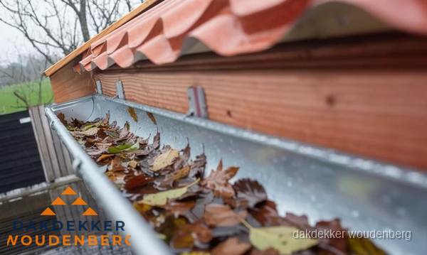 Dakgoot vol bladeren die gereinigd moet worden in Woudenberg Dakgoot vol bladeren die gereinigd moet worden in Woudenberg