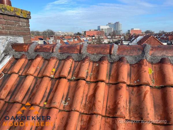 Pannendak met nokvorst en schoorsteen, dakrenovatie in Woudenberg Pannendak met nokvorst en schoorsteen, dakrenovatie in Woudenberg