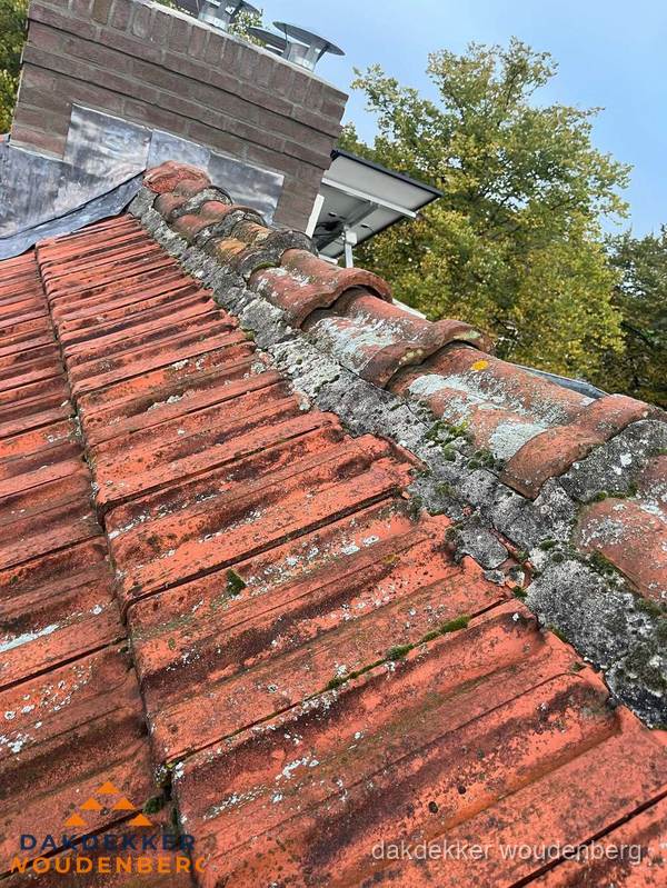 Verweerd hellend dak met mosgroei op nokvorst in Woudenberg Verweerd hellend dak met mosgroei op nokvorst in Woudenberg