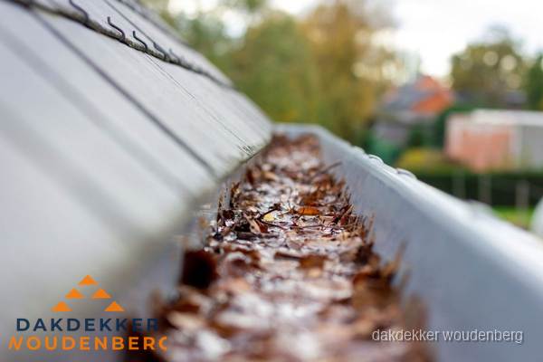 Verstopte dakgoot met bladeren schoonmaken in Woudenberg Verstopte dakgoot met bladeren schoonmaken in Woudenberg